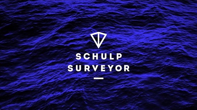 Yes We Started Schulp Surveyor